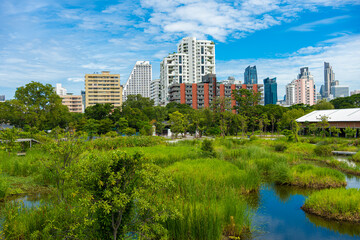 City green forest park Benchakitti new tropical park with office building Silom city