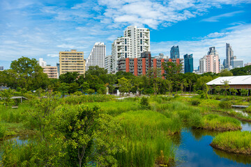 Fototapeta na wymiar City green forest park Benchakitti new tropical park with office building Silom city