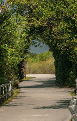 Branch Tunnel Over Shark Valley Overlook Trail