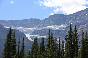 Canadian Rocky Mountain Views and Glaciers