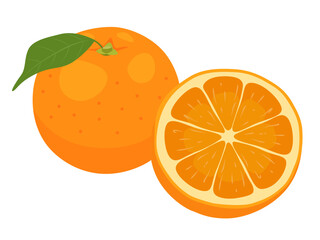 オレンジのベクターイラスト