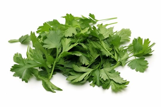 Chopped fresh green parsley leaves isolated on a white background. Generative AI
