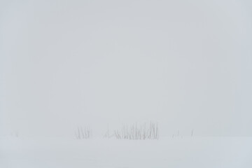 雪原のイメージ