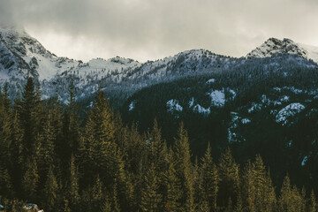 snow covered mountains