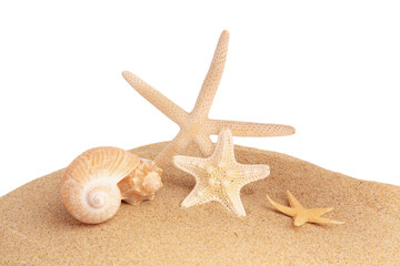 Fototapeta na wymiar Sand with many beautiful sea stars and seashells isolated on white