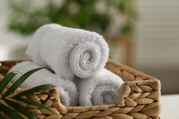 Spa composition. Towels and palm leaves indoors, closeup
