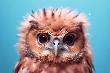 portrait of a depressed owl, concept of Solitary despair