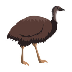 australia animal emu