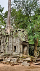 Naklejka premium Ta Phrom - Iconic 12th century Angkor Khmer Temple with Tree roots intertwined with the temple structure, famous for Tomb Raider movie featuring Angeline Jolie at Siem Reap, Cambodia, Asia