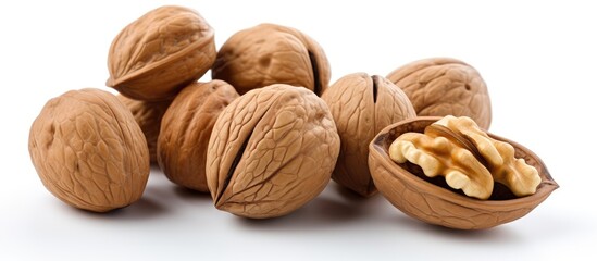 Closeup view of isolated walnut fruit on white background