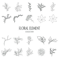 Individual floral hand drawn element collection