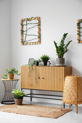 Stylish wooden cabinet with houseplants in interior of room