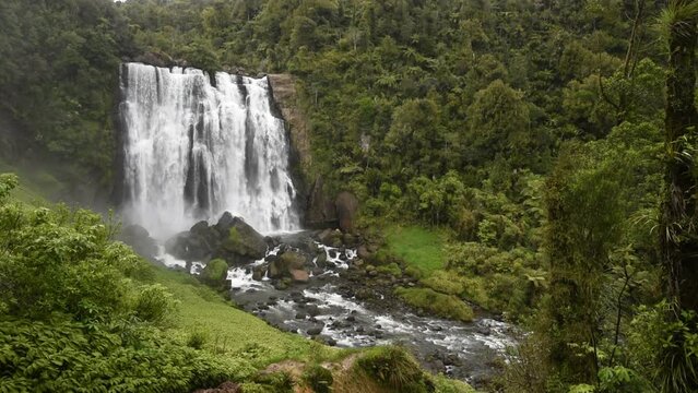 Marokopa Falls in thick forest in the Waitomo area of the Waikato Region, New Zealand. Here the Marokopa River cascades over the undercut greywacke basement rock.
