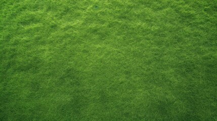 Green grass field background for soccer and football sports.