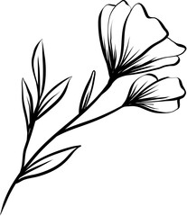 flower hand drawn