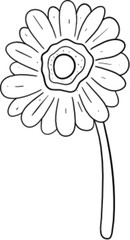 flower hand drawn