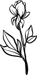 flower hand drawn