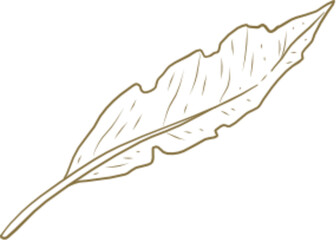 tropical leaf hand drawn