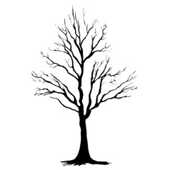 Obraz premium silhouette of dead tree on white background, Scary Dead Tree for Halloween
