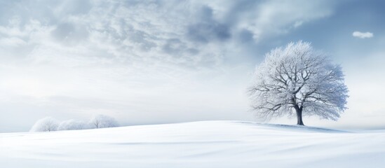 Fototapeta na wymiar Winter landscape photographs in the snow