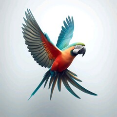 Parrot in flight on white background