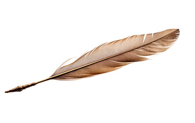 Fototapeta na wymiar Beautiful Feather Quill Pen Tip Isolated on Transparent Background PNG.