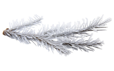 Cold Snowy Frost Covered Pine Branch with Glister Isolated on Transparent Background PNG.