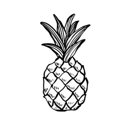 handdrawn pineapple