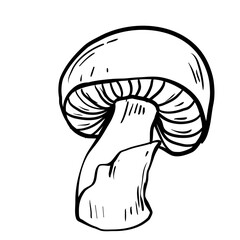 handdrawn mushroom