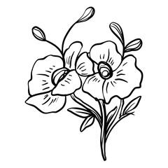 flower hand drawn