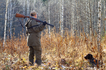 a hunter and his hunting dog in the birch forest in autumn