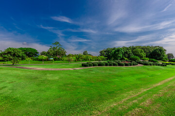 natural background of many species of plants that are laid out in the park, for the propagation of the species and to provide shade for those who stop by while traveling to study the ecology.