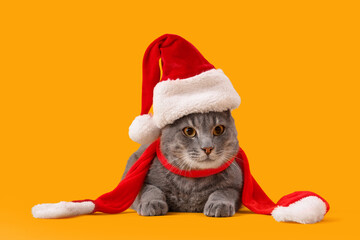 Cute cat in Santa hat lying on yellow background