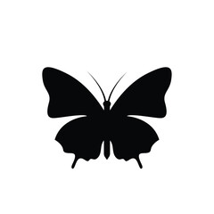 Butterfly logo icon