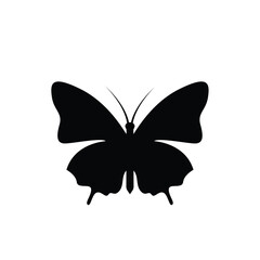 Butterfly logo icon