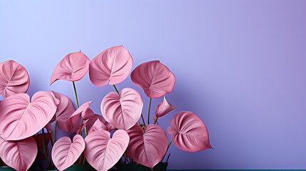 Pink plants with leaves in purple background, modern pastel colors palette