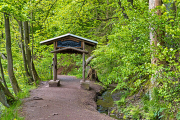 Naklejka premium wandern in der Drachenschlucht Eisenach Thüringen