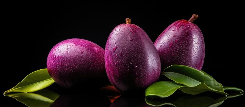 Bouea Oppositifolia is a tropical fruit in Malaysia and Southern Asia also called plum mango scientifically