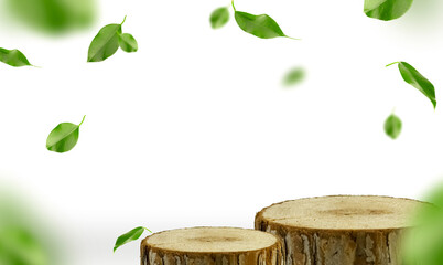 Two wooden stumps on a white background with space for a copy, green leaves. Wooden podiums on a...