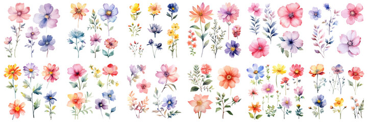Set of wildflower bouquet collection with watercolor. Set garden pink flowers, leaves, branches, Botanic illustration isolated on white background. Watercolor floral vector for any design. - obrazy, fototapety, plakaty