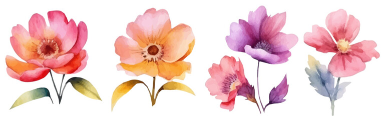Obraz premium Watercolor floral elements set. Flower pink rose, green leaves. Wedding concept with flowers. beautiful colorful flowers. Vector illustration