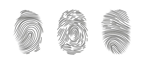 Hand rawn black fingerprint set. Identification symbol.