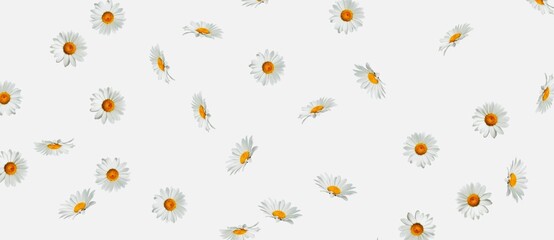 seamless daisy flowers abstract pattern texture on white background illustration 
