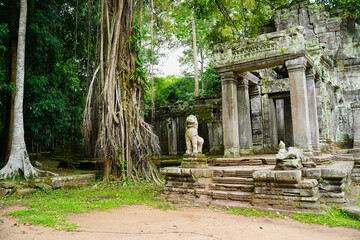 Preah Khan - 12th Century temple built by Khmer King Jayavarman VII with typical Angkor style...