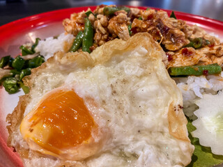 Stir-fried chicken curry paste with fried egg on rice