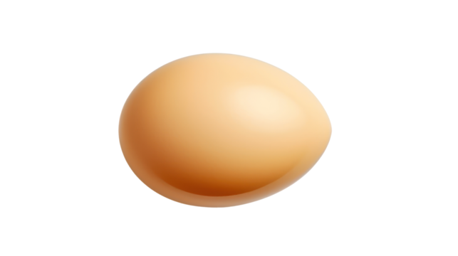 Chicken egg on the transparent background