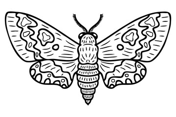 Acherontia atropos monochrome realistic doodle hawk moth. Perfect for tee, poster, card, sticker, banner. Hand drawn vector illustration.