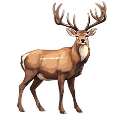 Obraz premium Deer, isolated on transparent background, PNG, 300 DPI