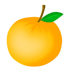illustration of an orange.