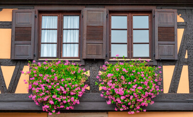 Fototapeta na wymiar Windows with geraniums on half-timbered house,Alsace, France